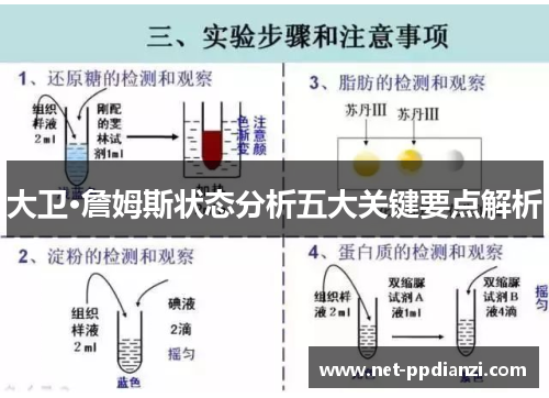 大卫·詹姆斯状态分析五大关键要点解析