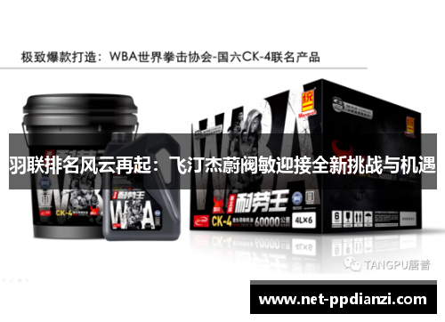 羽联排名风云再起：飞汀杰蔚阀敏迎接全新挑战与机遇